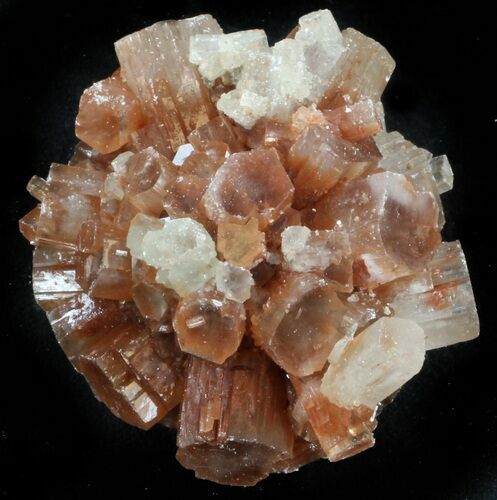 Aragonite Twinned Crystal Cluster - Morocco #37323
